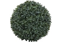 umai green plants   