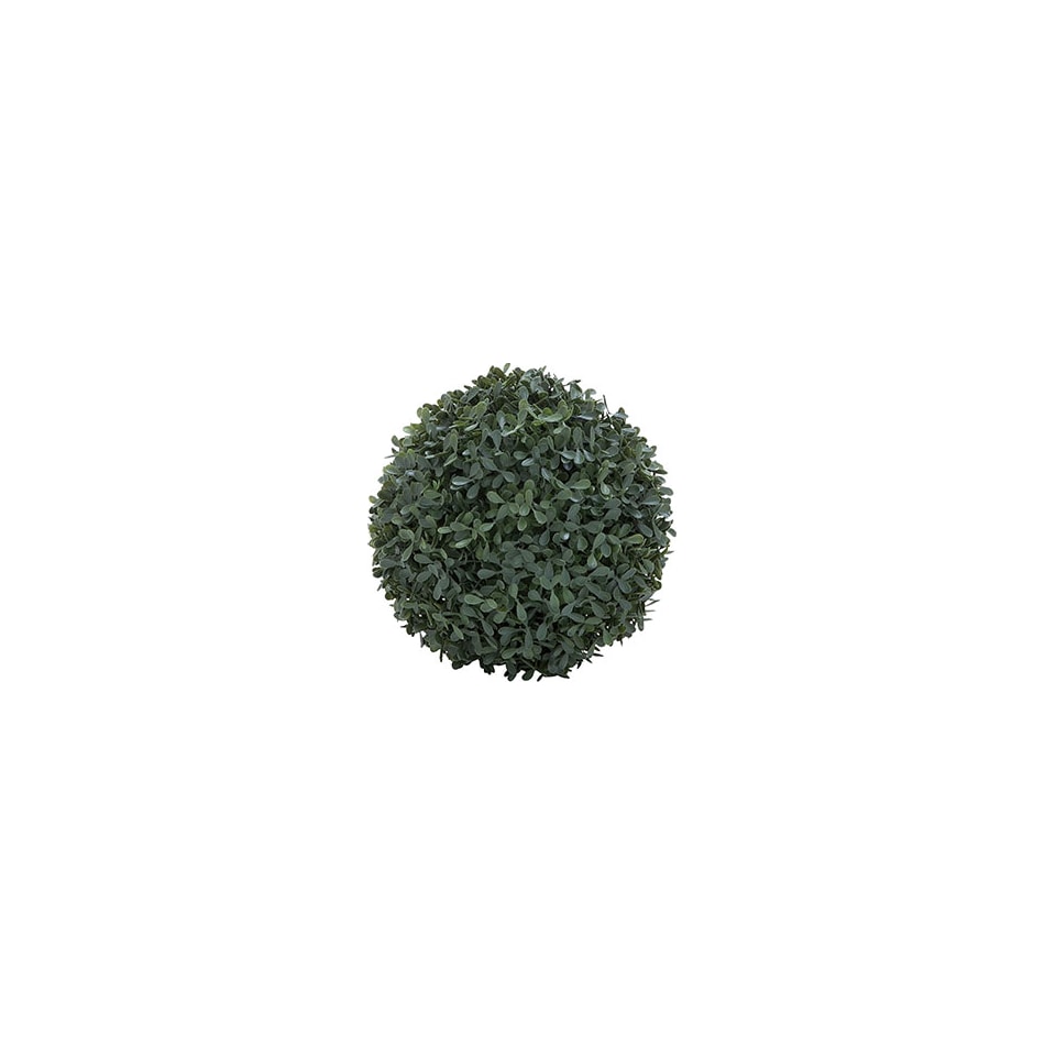 umai green plants   
