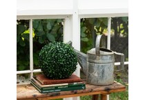 umai green plants   