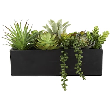 Faux Succulents In Black Box 14"W x 8"H