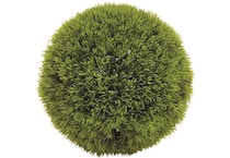 umai green plants   