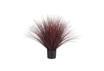 umai red plants   