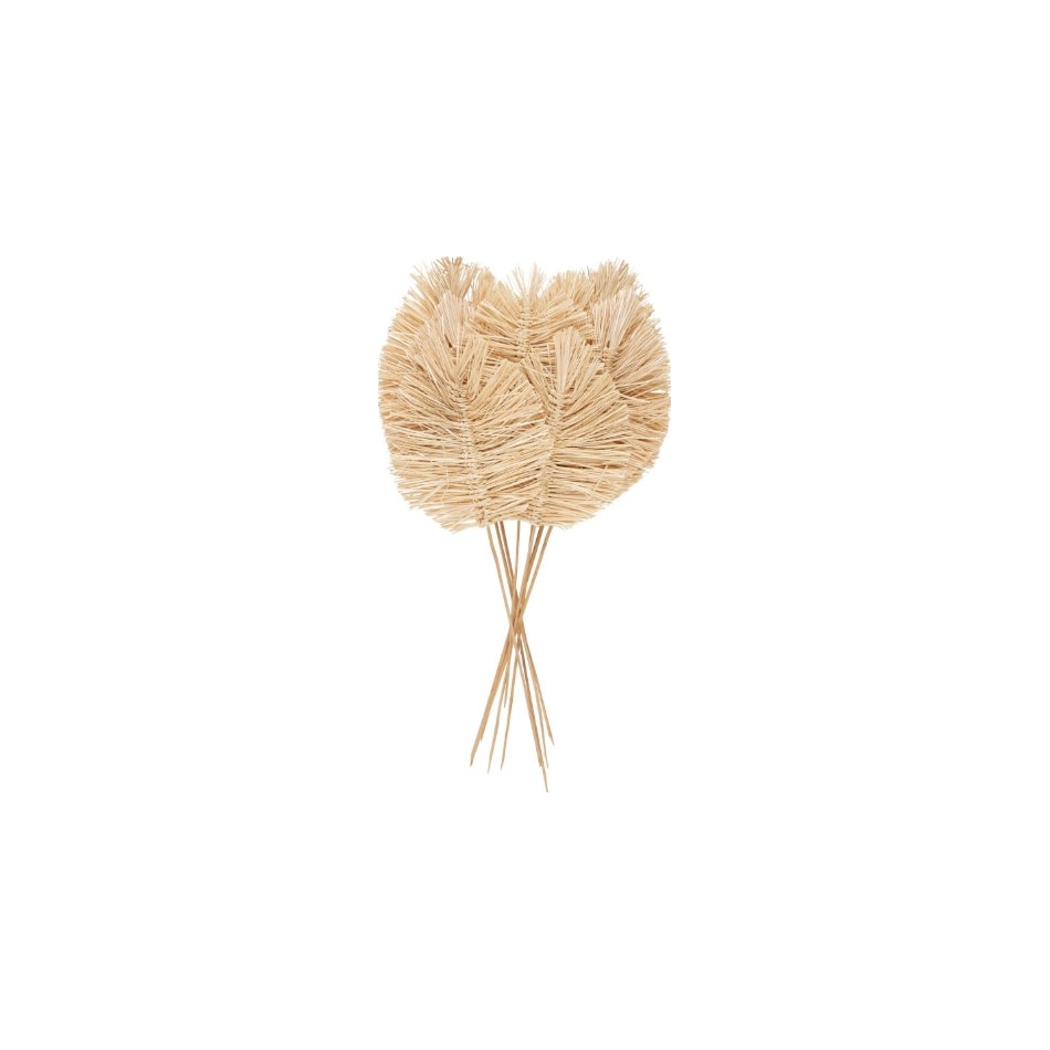 umai tan grasses sticks greens   