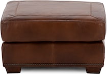 usap brown accent   
