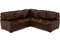 usap brown sta lth sectional pkg  