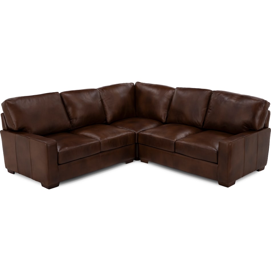 usap brown sta lth sectional pkg  