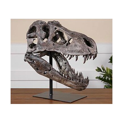 Tyrannosaurus Faux Skull 19"W x 20"H