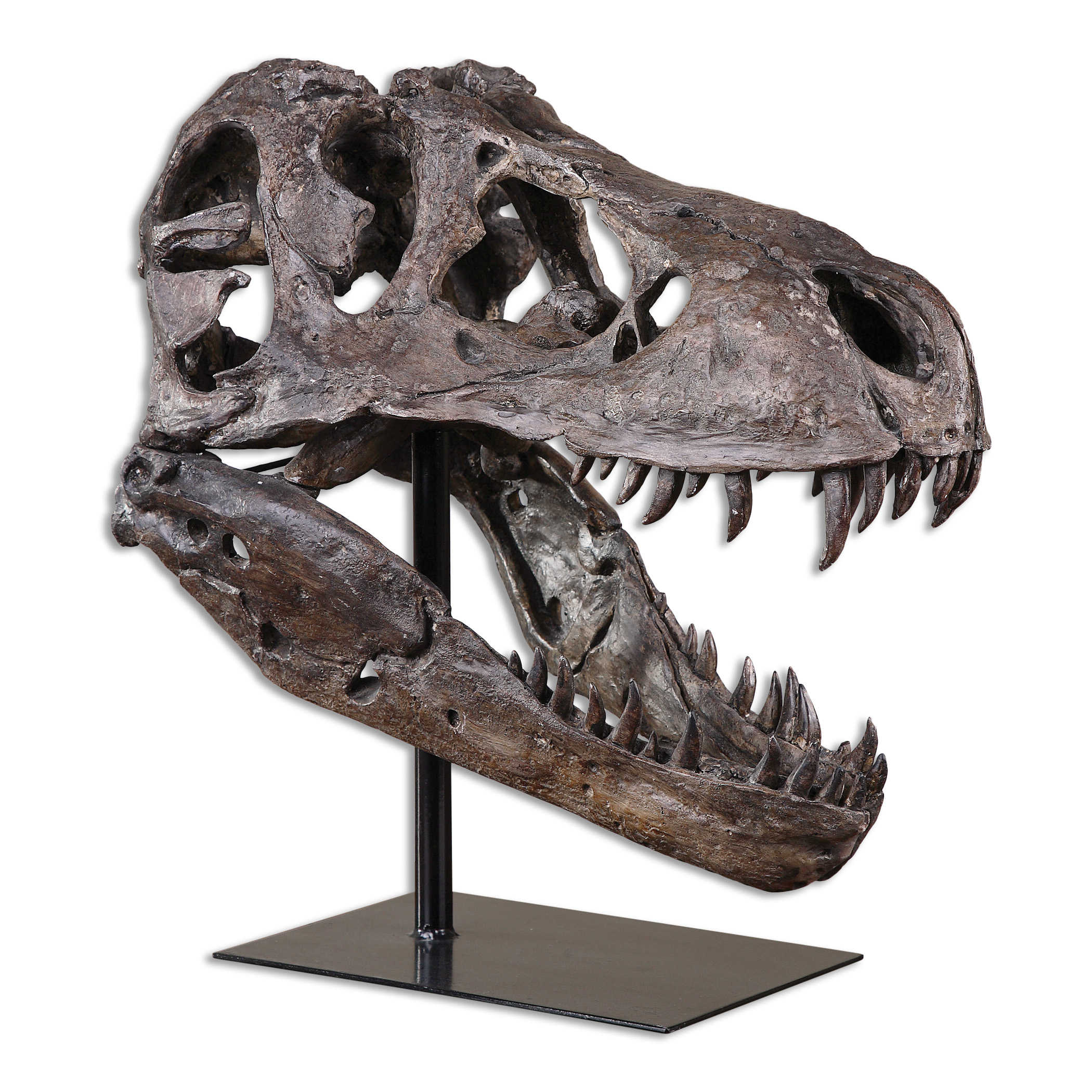 Tyrannosaurus Faux Skull 19