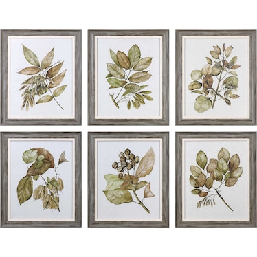Set of 6 Botanical Framed Prints 20"W x 24"H
