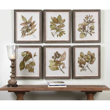 Set of 6 Botanical Framed Prints 20"W x 24"H