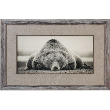 Sepia Sleeping Bear Framed Print 50"W x 32"H