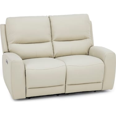 Fisher Leather Fully Loaded Reclining Loveseat