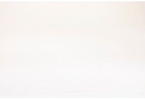 white swatch  