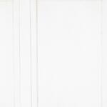 white swatch  