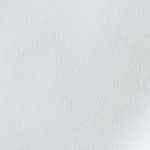 white swatch  