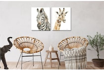 wild brown floor animals   