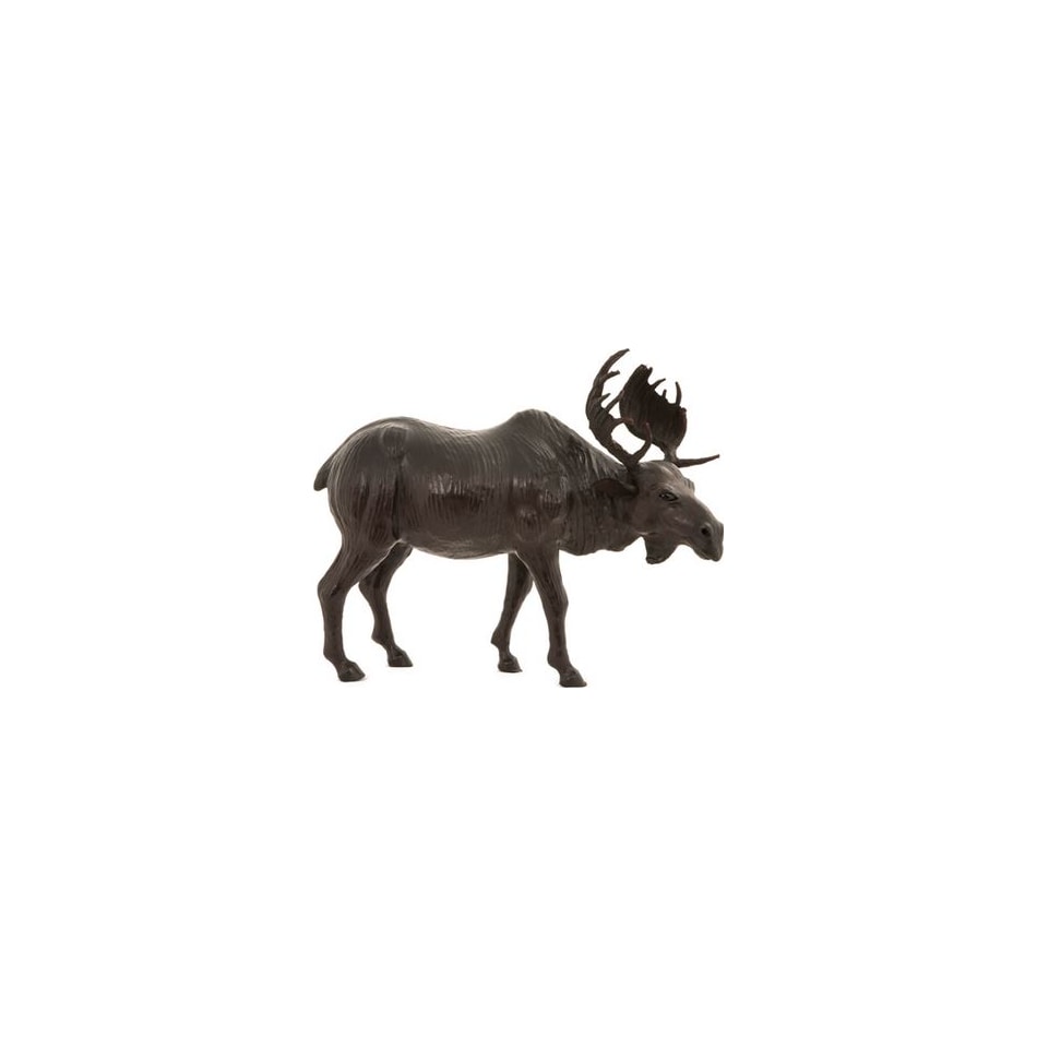 wild brown floor animals   