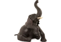 wild brown floor animals   