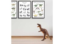 wild brown floor animals   