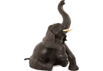 wild brown floor animals   