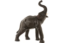 wild brown floor animals   