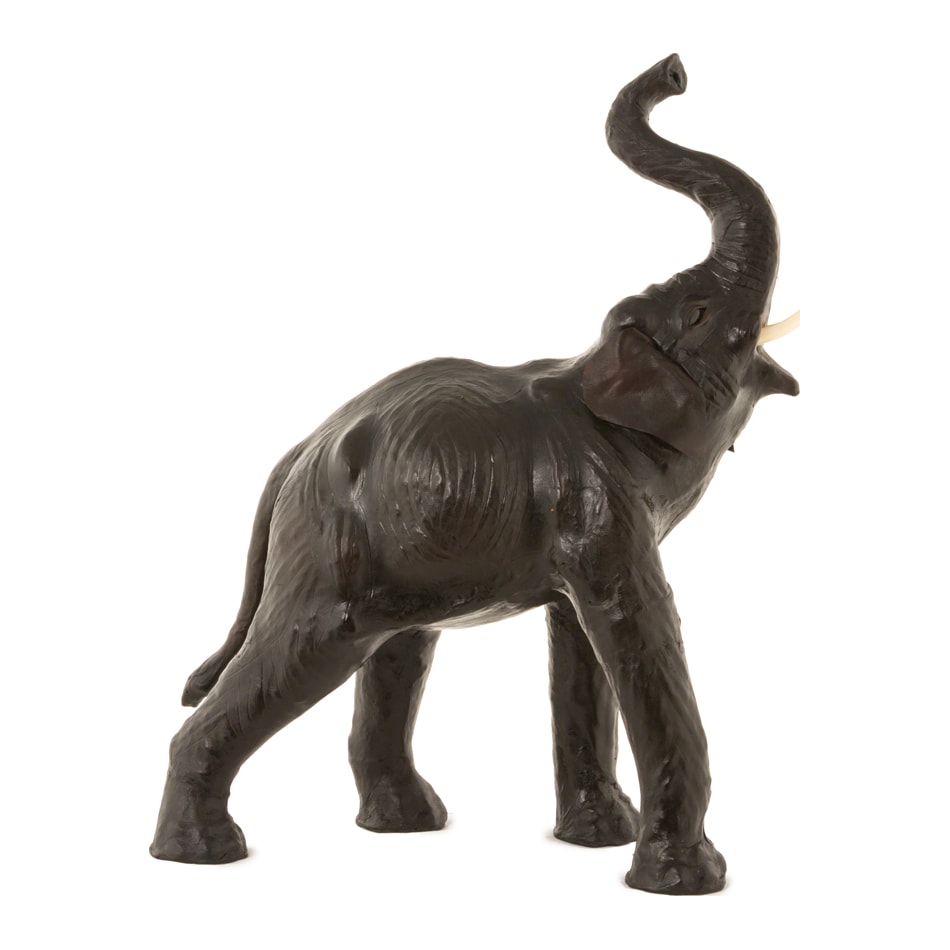 wild brown floor animals   