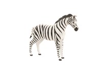 wild white floor animals   